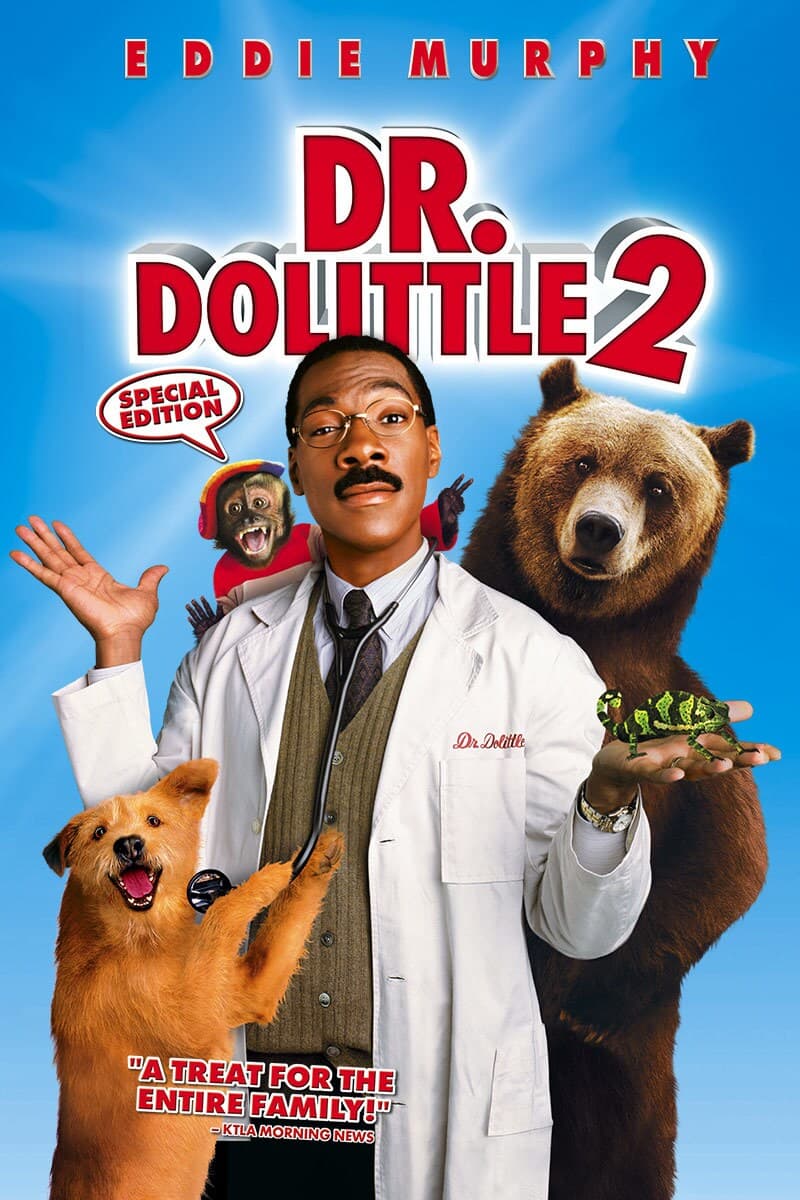 Dr DoShambey 2